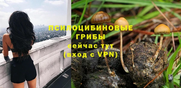 МДПВ Абаза