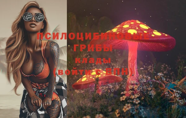 МДПВ Абаза